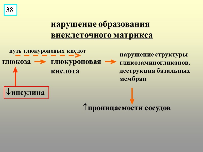 нарушение образования внеклеточного матрикса  инсулина глюкоза глюкуроновая кислота нарушение структуры гликозаминогликанов, деструкция базальных